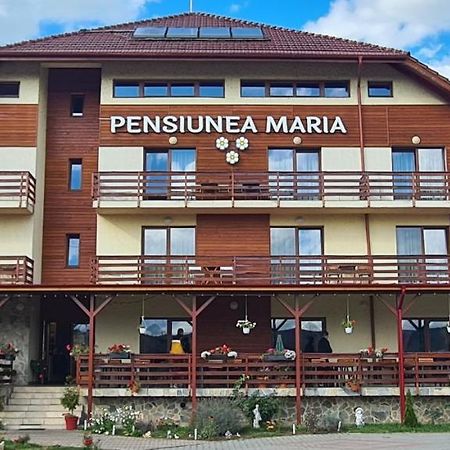 Pensiunea Maria Gilău 外观 照片