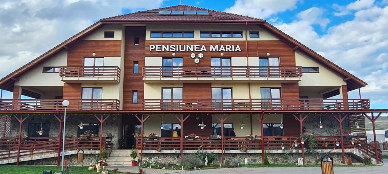 Pensiunea Maria Gilău 外观 照片